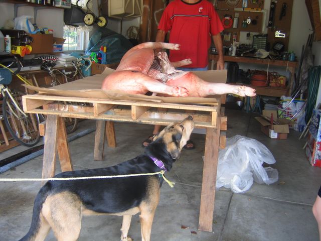 IMG 3042