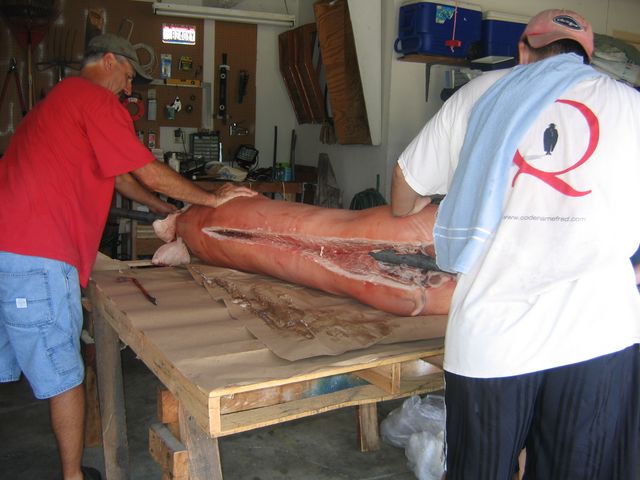 IMG 3044