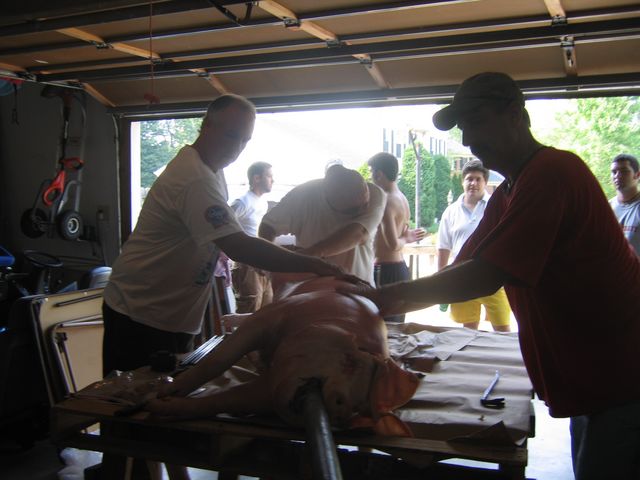 IMG 3047