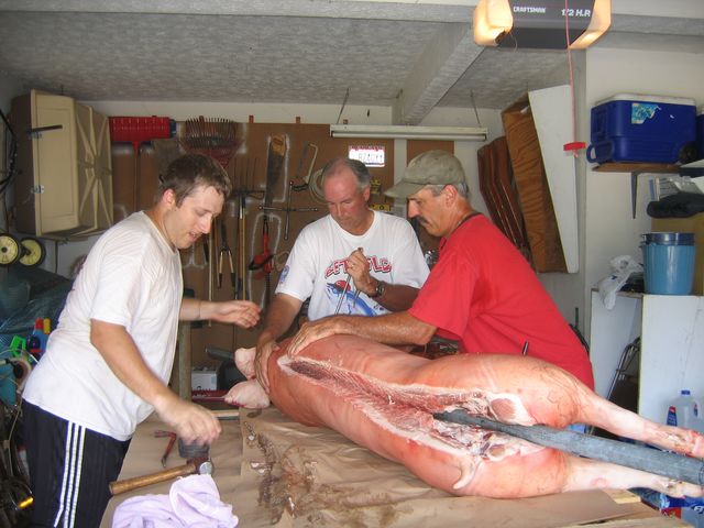 IMG 3052