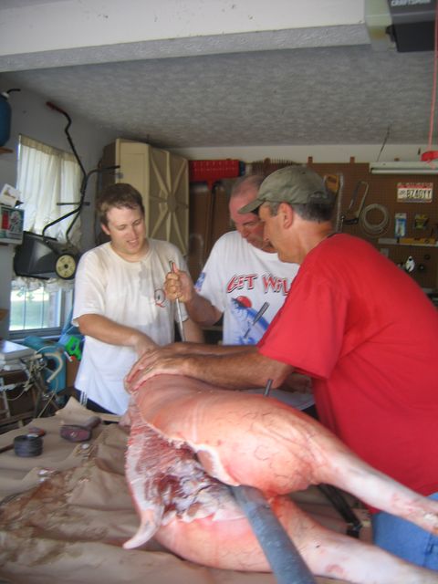IMG 3053