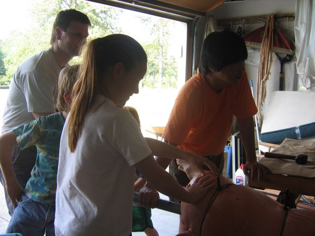 IMG 3071