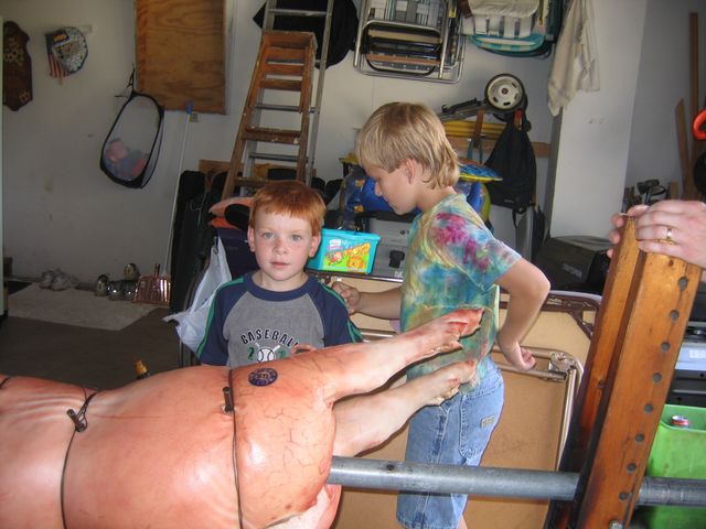 IMG 3073