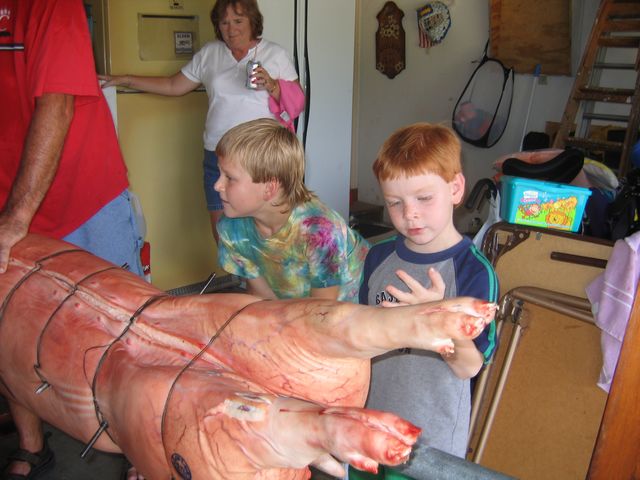 IMG 3075