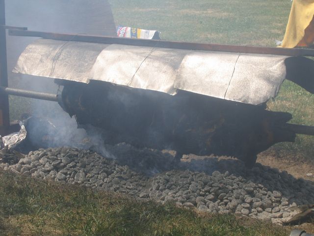 IMG 3079
