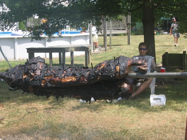 IMG 3095