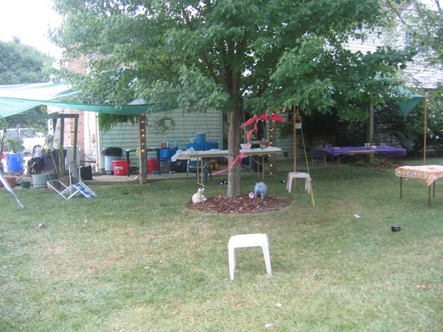 IMG 3631