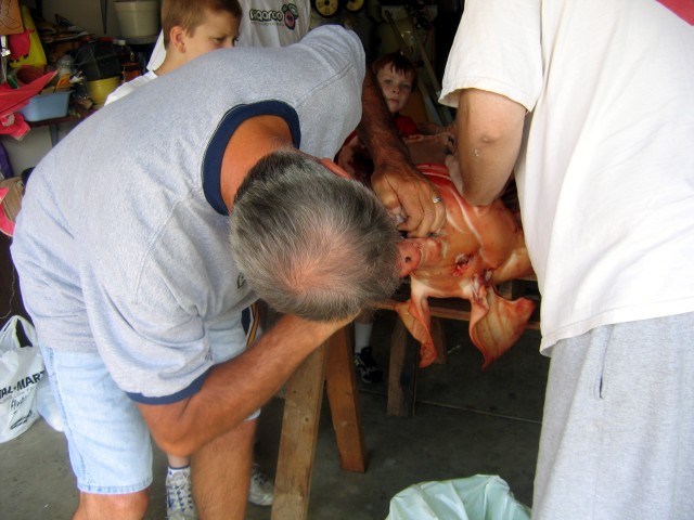IMG 7136