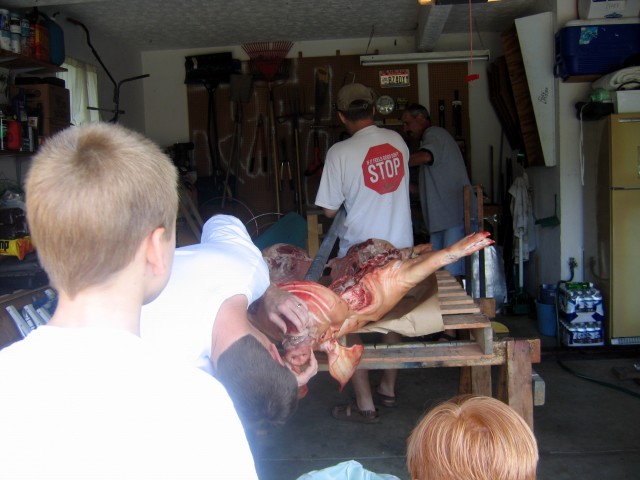 IMG 7143