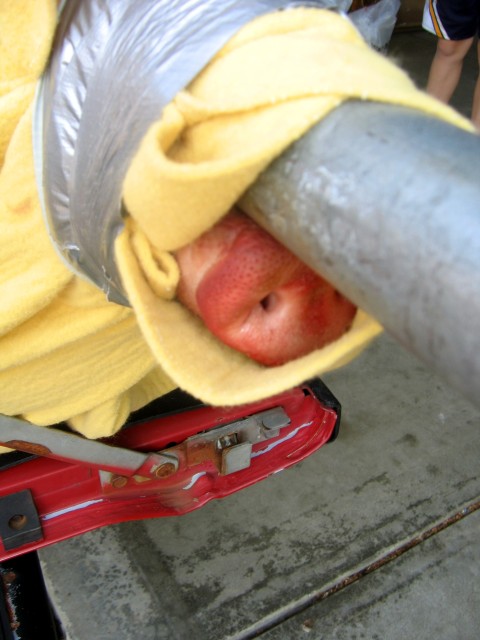 IMG 7159