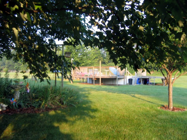 IMG 7160