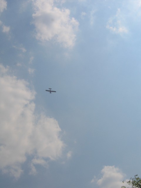 IMG 7218