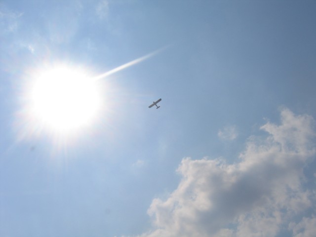 IMG 7222