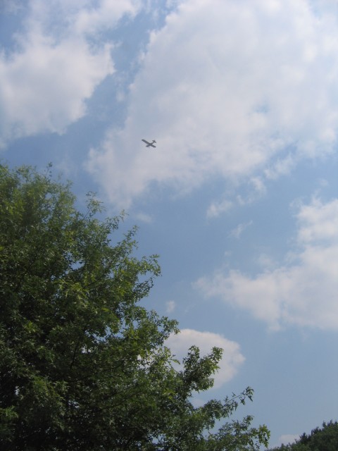IMG 7225