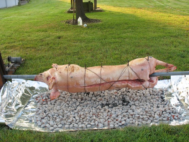 prepig golf 06 126