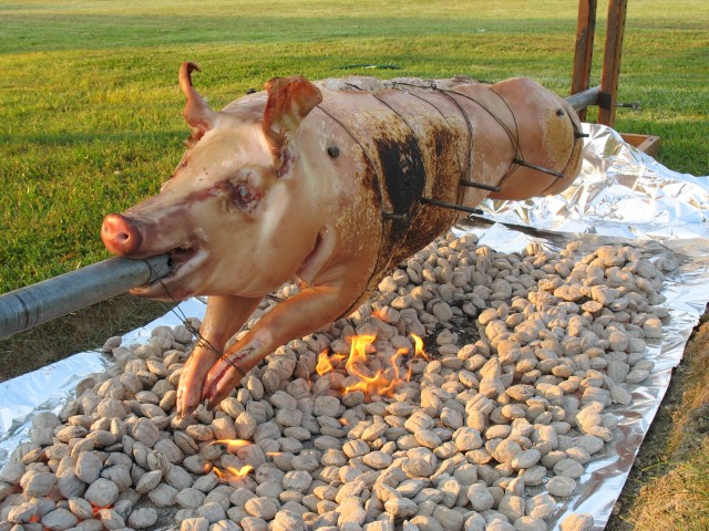 prepig golf 06 147