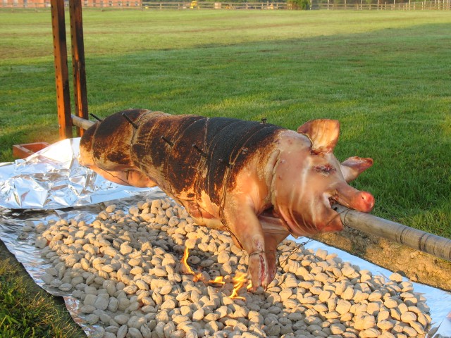 prepig golf 06 150