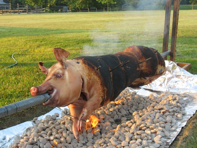 prepig golf 06 157