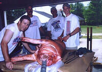 pigfestXI 01 001