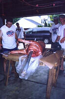 pigfestXI 02