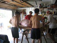 IMG 3038