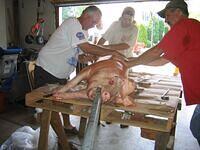 IMG 3048