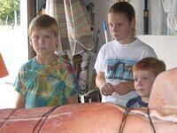 IMG 3062