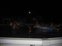 IMG 3390
