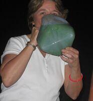 IMG 3454
