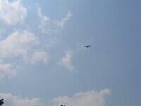 IMG 7217