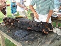 nancy spigfest13 147