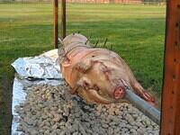 prepig golf 06 135